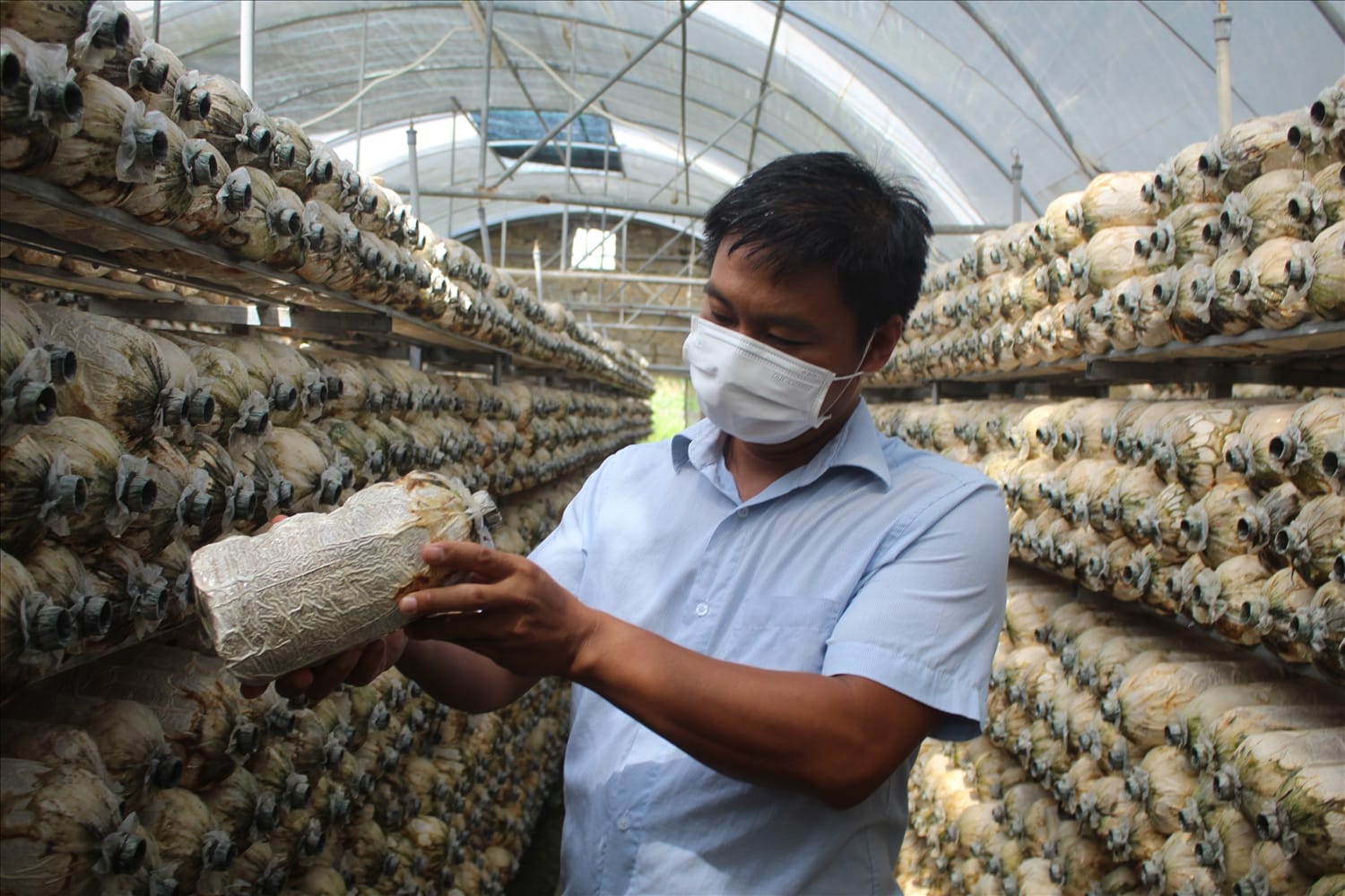 Làm giàu nông nghiệp với mô hình trồng nấm