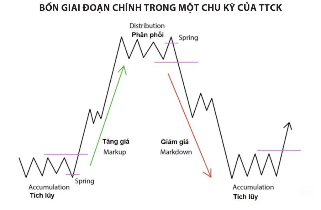 4 giai đoạn của chu kỳ cổ phiếu 