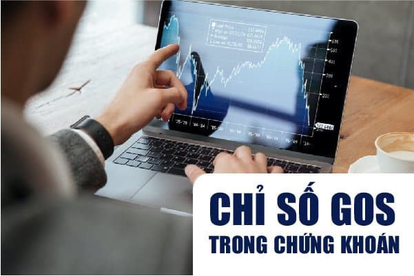 Chỉ số GOS là gì? Ý nghĩa và cách tính chỉ số GOS trong chứng khoán