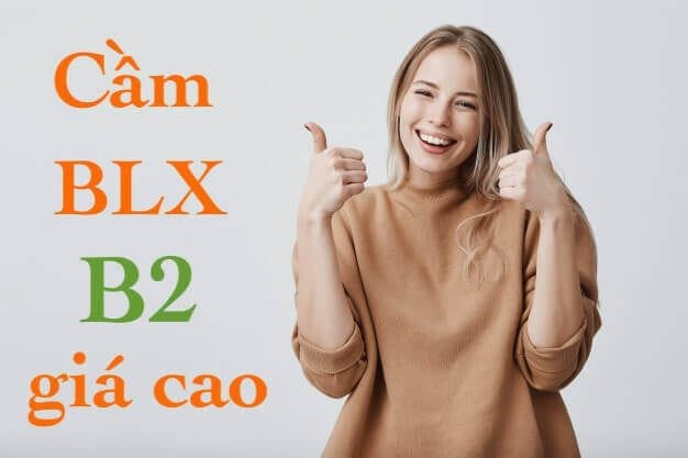 Cầm bằng lái xe b2 có được không?