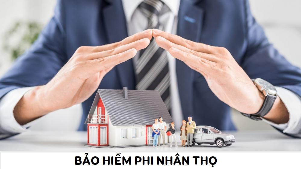 Bảo Hiểm Phi Nhân Thọ Là Gì? Có Tốt Không? Nên Mua Hay Không?