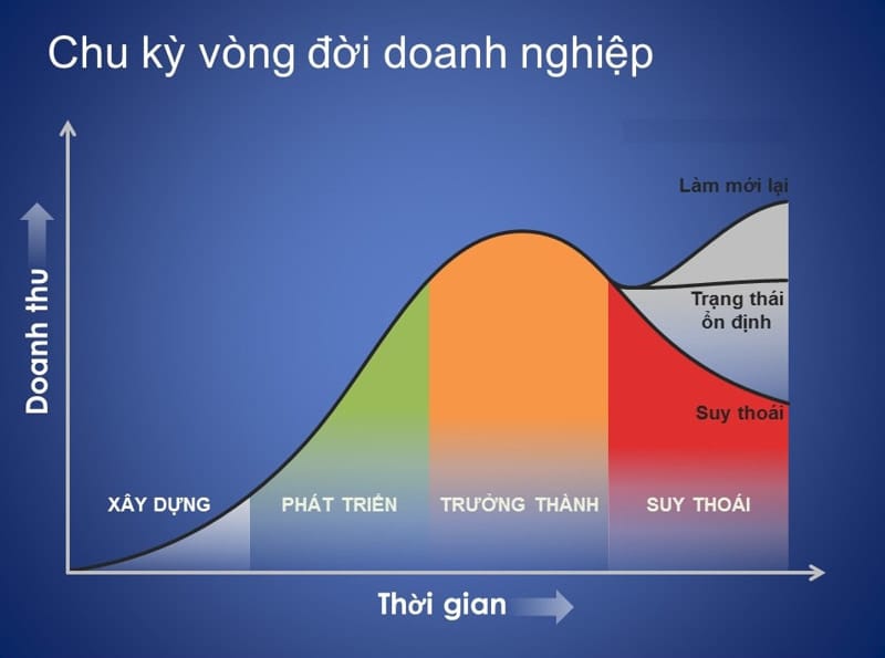 Chu kỳ kinh doanh của doanh nghiệp là gì? Các giai đoạn của chu kỳ