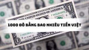 Tỷ Giá Hôm Nay: 1000 Đô La Bằng Bao Nhiêu Tiền Việt Nam?