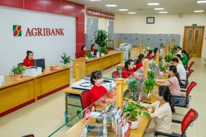 Số tổng đài Agribank | Hotline CSKH Ngân Hàng Agribank 24/7 Miễn Phí