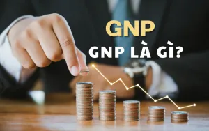 Chỉ số GNP là gì? Ý nghĩa và cách tính chỉ số GNP